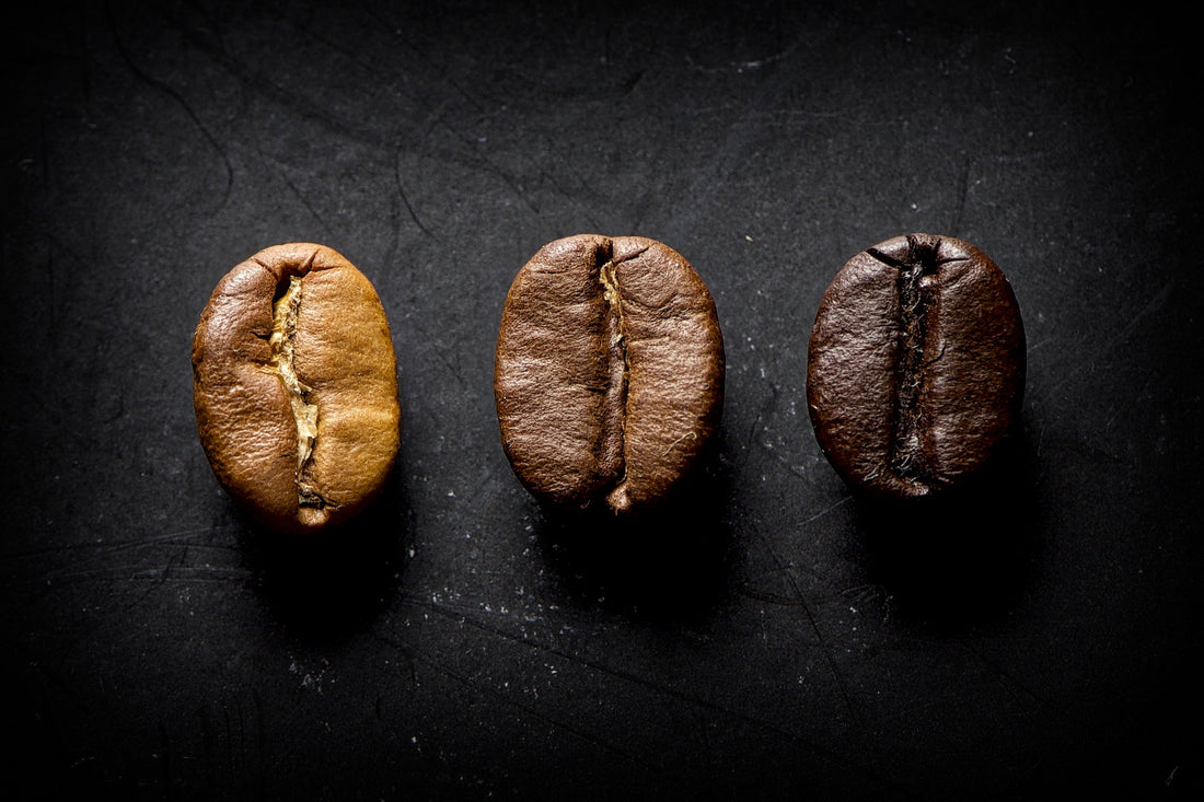 Navigating Light, Medium, and Dark Roast: Wonders of Arabica Filter Coffee